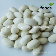 Egyptian fresh white kidney bean from China